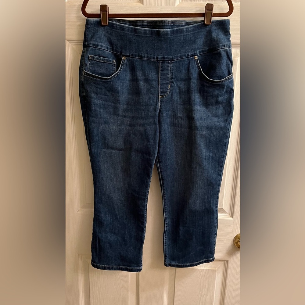 LEE~SCULPTIN~STRAIGHT LEG~CROPPED JEANS~16W